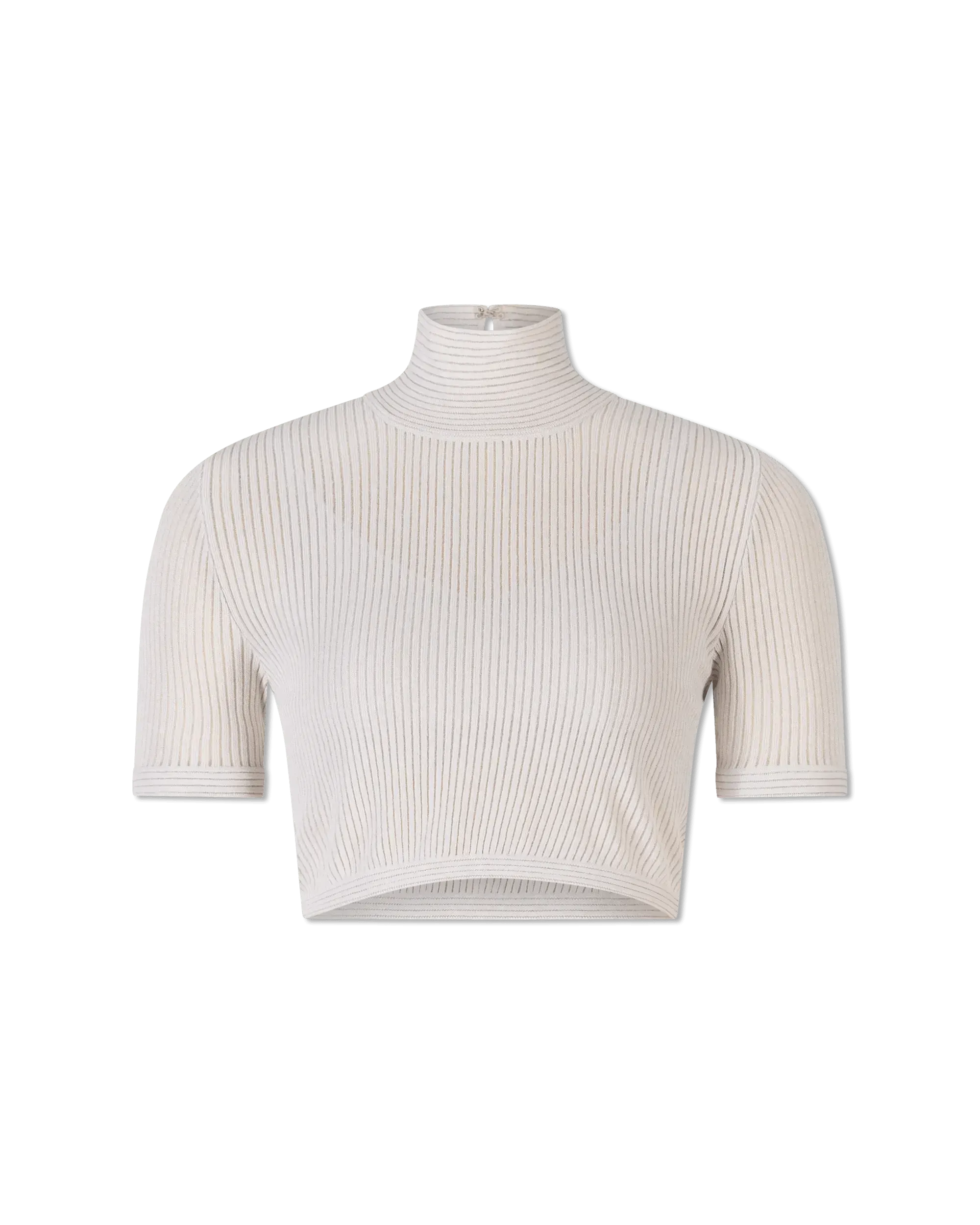 Semi-Sheer Turtleneck Crop Top