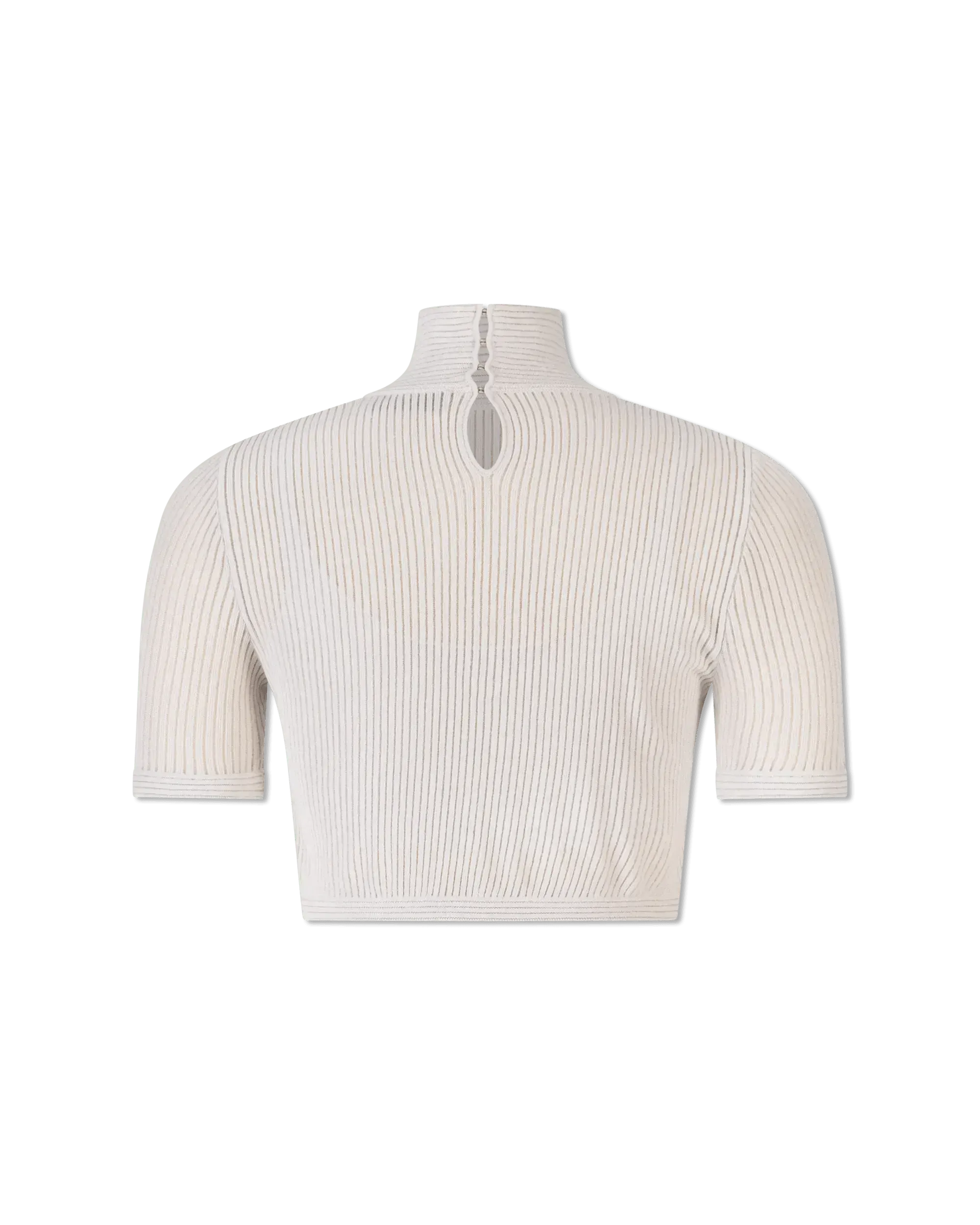 Semi-Sheer Turtleneck Crop Top
