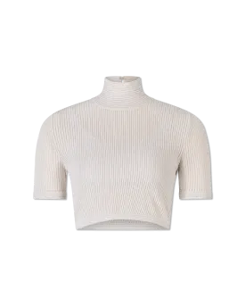 Semi-Sheer Turtleneck Crop Top